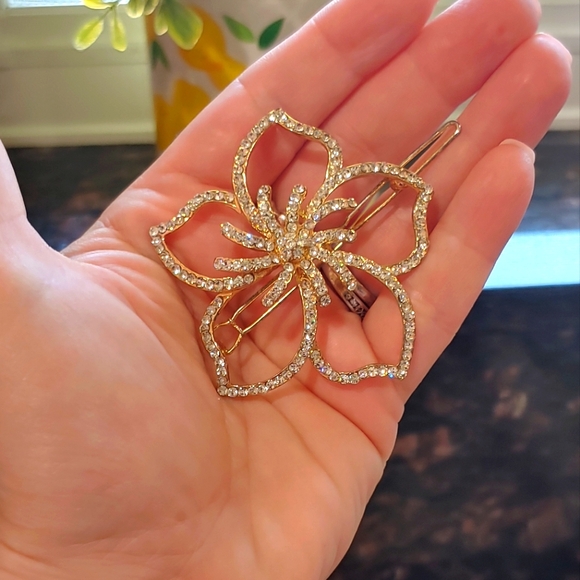 Accessories - Inspired hair clip